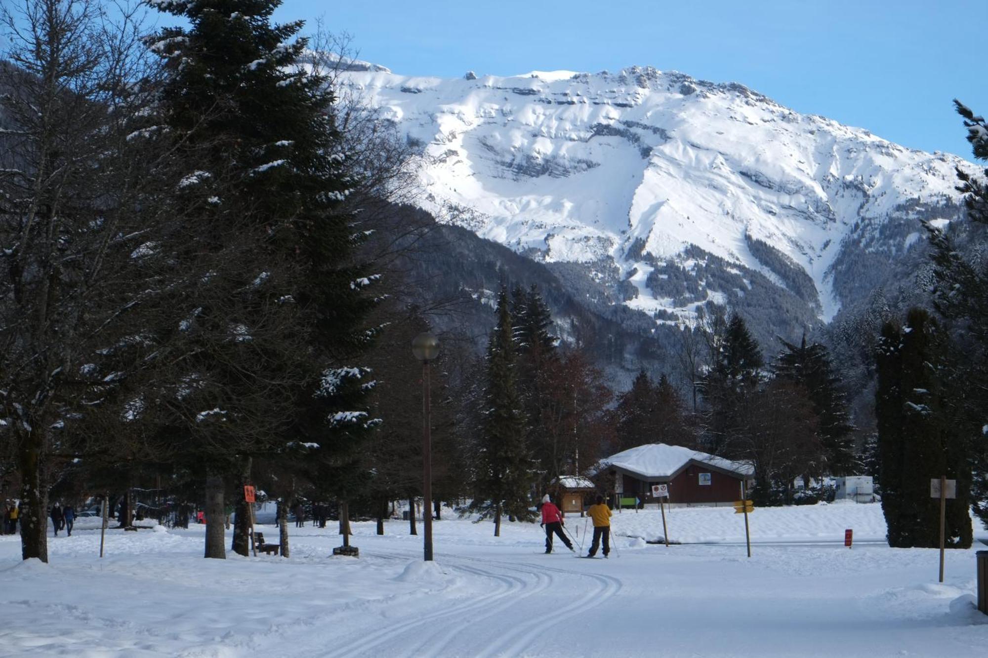 Particulier Loue 2 Appartements Communicants Dans Chalet A Samoens Jusqu A 16 Couchages Luaran gambar