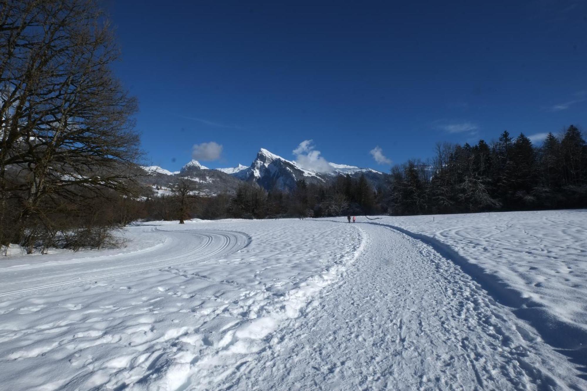 Particulier Loue 2 Appartements Communicants Dans Chalet A Samoens Jusqu A 16 Couchages Luaran gambar